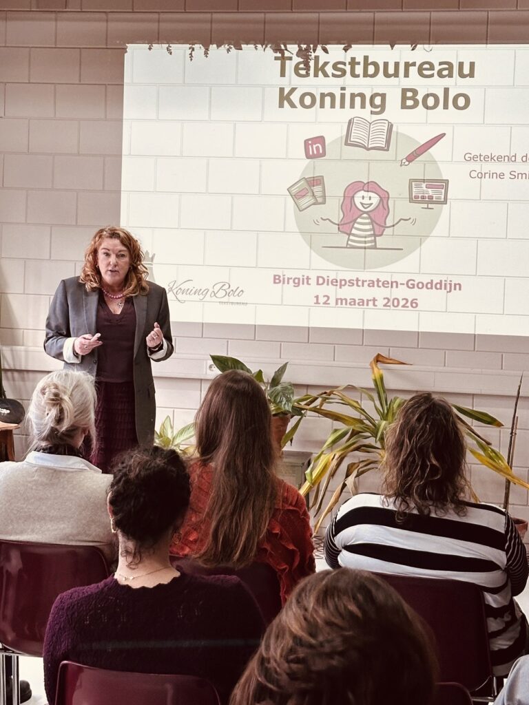LinkedIn-presentatie Koning Bolo